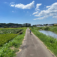 YPPで実現できた! 自分らしく働くこと　 Tさん（静岡県）